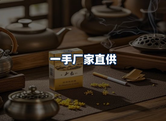专业团队办公环境